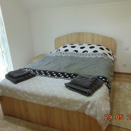 Vila Floarea De Colt Apartment Borsa  Exterior photo