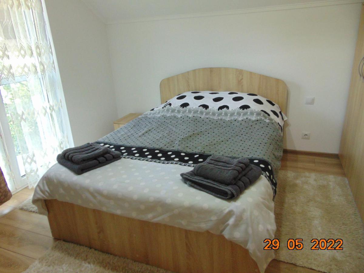 Vila Floarea De Colt Apartment Borsa  Exterior photo