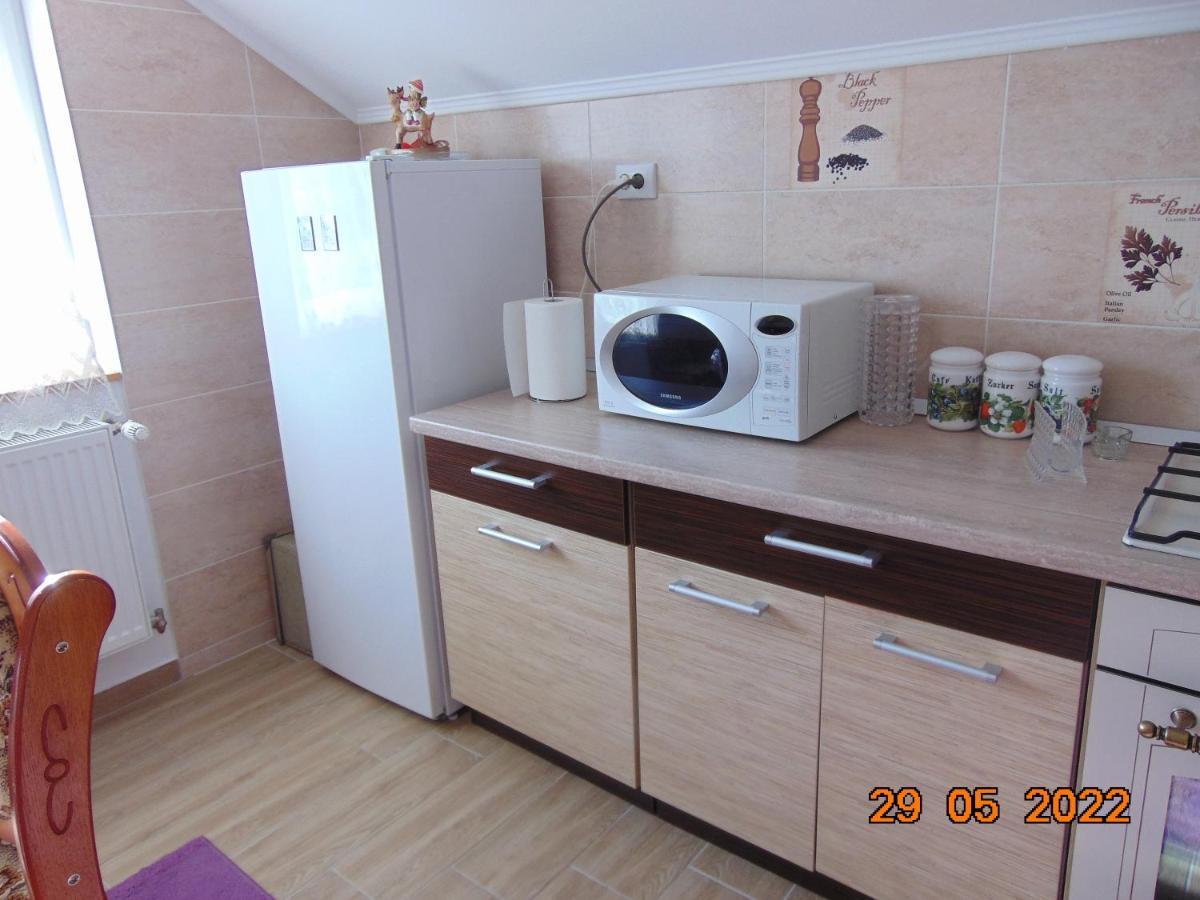 Vila Floarea De Colt Apartment Borsa  Exterior photo