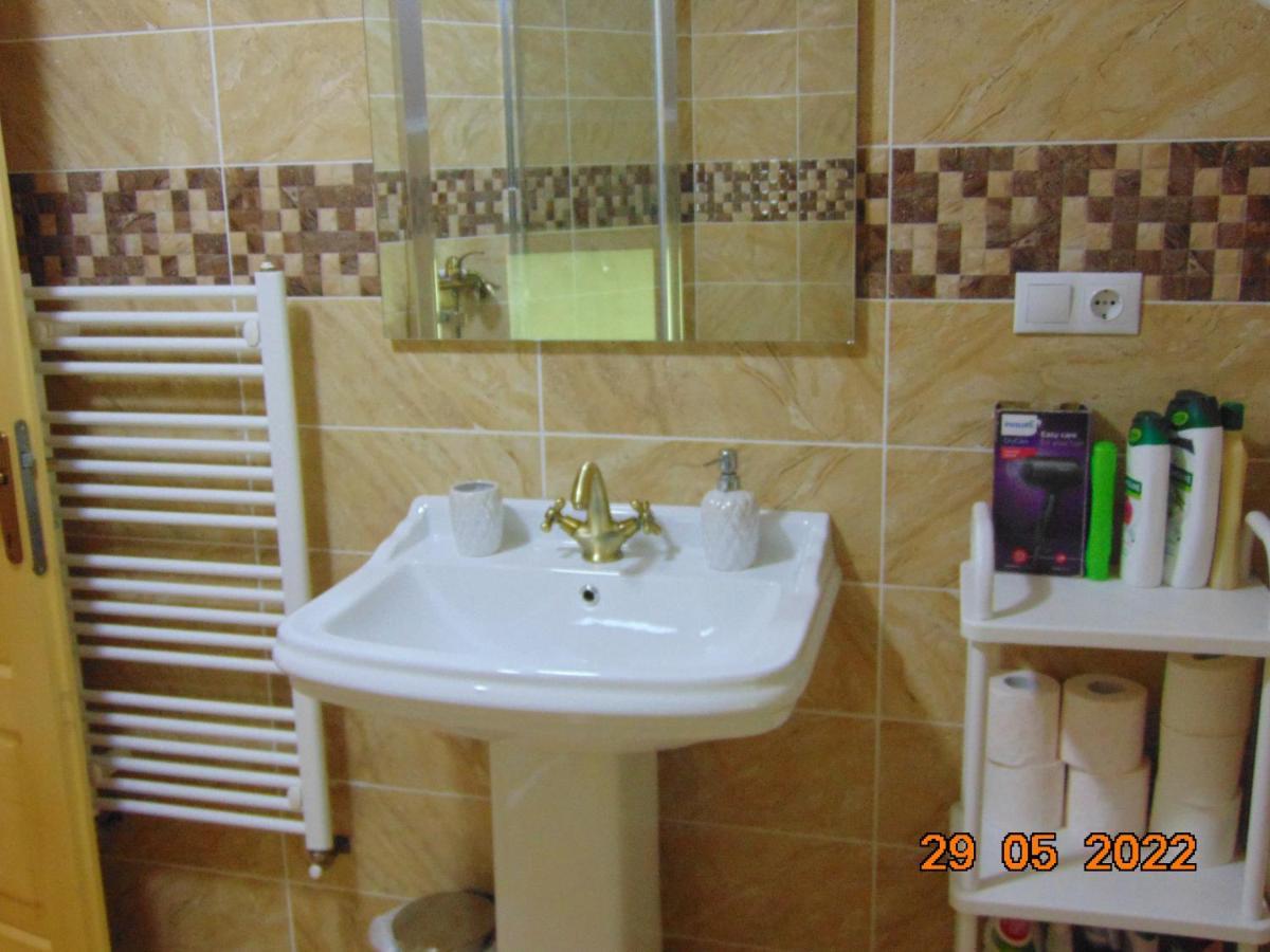 Vila Floarea De Colt Apartment Borsa  Exterior photo