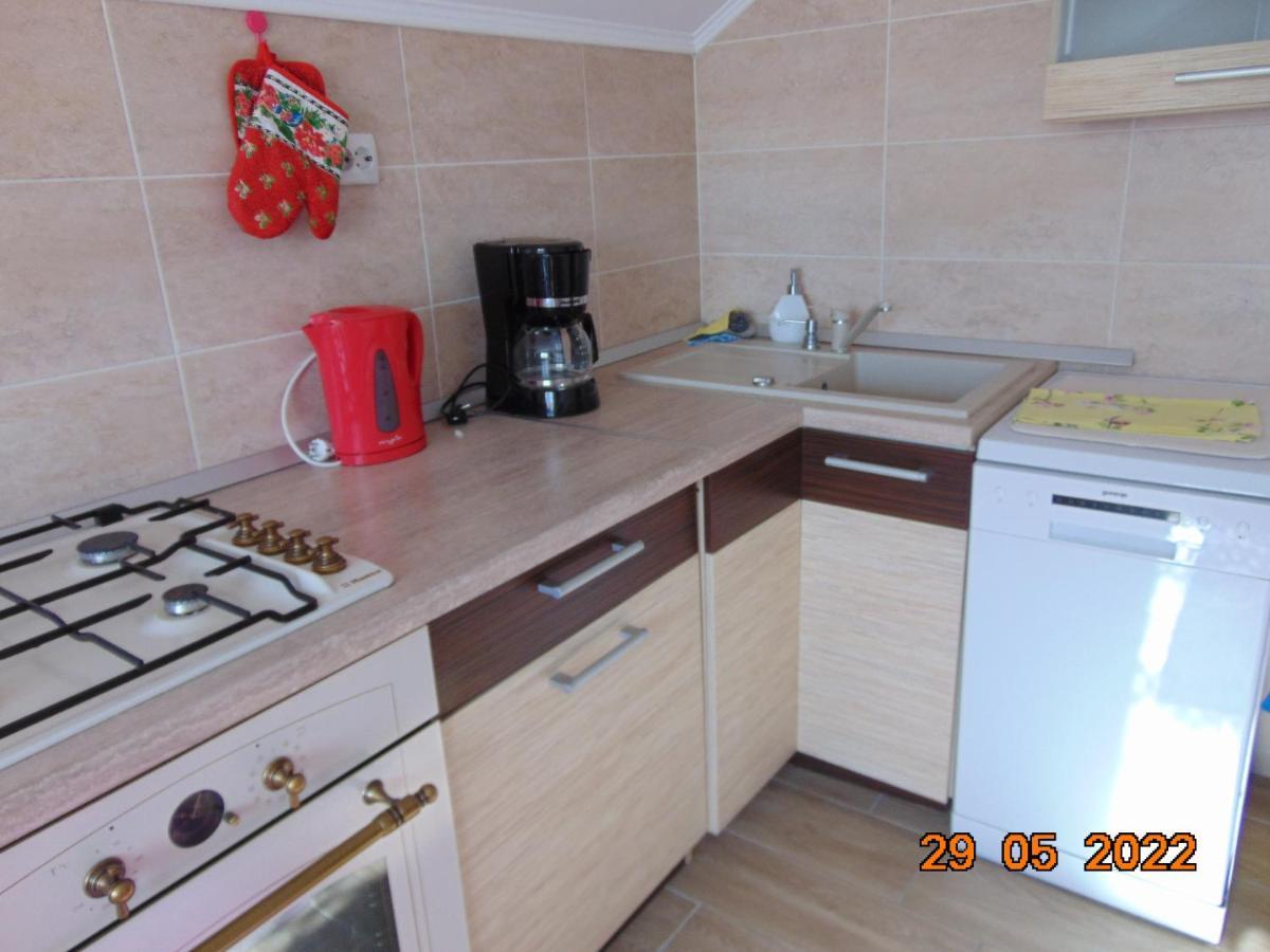 Vila Floarea De Colt Apartment Borsa  Exterior photo